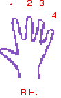 right hand